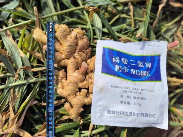 正规股票配资网站 磷酸二氢钾哪个牌子更好？