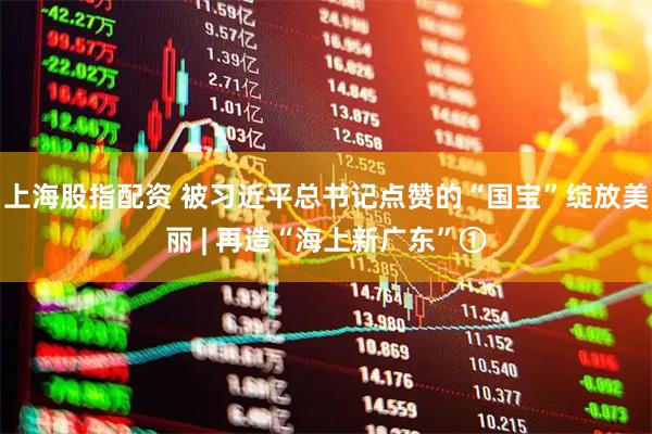 上海股指配资 被习近平总书记点赞的“国宝”绽放美丽 | 再造“海上新广东”①